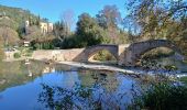 Trail Walking Vins-sur-Caramy - Vins sur Caramy-13-11-2024  - Photo 4