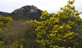 Trail Walking Mandelieu-la-Napoule - Chapelle St Jean - Maure Vieil - La Californie - Rocher des Monges - Photo 1