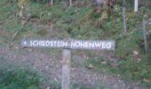 Excursión A pie Großarl - Schiedstein Höhenweg - Photo 3