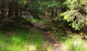 Randonnée V.T.T. Le Saulcy - sortie vtt du 26052018 - Le Saulcy - Photo 9