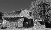 Excursión Senderismo Roquebrune-sur-Argens - Col du Bougnon - Peigros - Photo 3