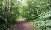 Trail Walking Liège - autour du domaine universitaire  - Photo 8