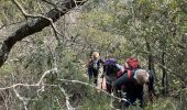 Trail Walking La Celle - Celle : la Loube et l'Amarron - Photo 9