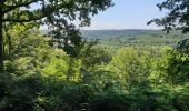 Randonnée Marche Fontaine-l'Évêque - Balade en forêt Domanial de Leernes  - Photo 11