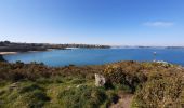 Excursión Senderismo Carantec - carantec parc goulde,île callot - Photo 14