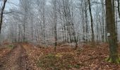 Tour Wandern Libin - Redu 311224 - Photo 14