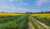 Tocht Stappen Orry-la-Ville - Le tour du grand paris via le GR1  Etape 8 Coye - Dammartin - Photo 2