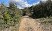 Tocht Stappen Cheval-Blanc - PF-Cheval-Blanc - Autour de Saint Phalez - Photo 4