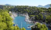 Percorso Marcia Cassis - XX-Cassis-Les Calanques-Miou-Pin-En Vau - Photo 14