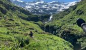 Randonnée Marche Pralognan-la-Vanoise - Montaimont Cirque du Genepy-lac du Clou - Photo 14