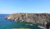 Excursión Senderismo Cléden-Cap-Sizun - pointe de brezelec 2019 - Photo 4