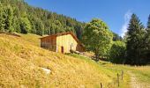 Randonnée Marche Sixt-Fer-à-Cheval - Le Lac de Gers - Photo 14