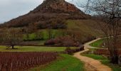 Percorso Marcia Solutré-Pouilly - Solutré - Photo 2