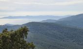 Trail Walking Cavalaire-sur-Mer - Cavalaire - oppidum de montjean crête des pradels - Photo 8