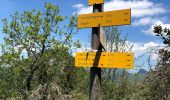 Tour Wandern La Thuile - La Thule 01-06-2021 - Photo 9