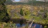 Excursión A pie okres Poprad - Náučný chodník Rakytovské plieska - Photo 4