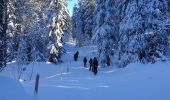 Randonnée Raquettes à neige Les Rousses - Noirmont et mont Sala Suisse - Photo 6