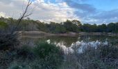 Tour Wandern Roquebrune-sur-Argens - z les mares de la Bouverie 21-12-21 - Photo 2