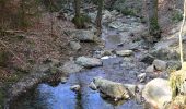 Trail Walking Aywaille - 220307 Ninglinspo - Photo 8