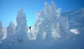 Excursión A pie okres Prievidza - Náučný chodník Vtáčnik - Photo 10