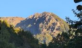 Tour Wandern Metzeral - Le belvédère du 1e Spitzkopf - Photo 3