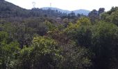 Trail Walking La Valette-du-Var - La Ripelle-24-03-21 - Photo 10