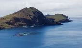 Excursión Senderismo Caniçal - Madère : la presqu'île de Sao Lourenço - Photo 3