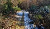 Tour Wandern Zimmerbach - Rando CLAD68 du 13/02/202 - Photo 2