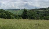 Randonnée Marche Bernkastel-Kues - A travers les Vignes de la Moselle 🌿 - Photo 3