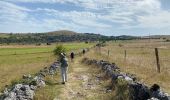 Tocht Stappen Fraissinet-de-Fourques - Nime le Vieux 10 km - Photo 14