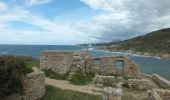 Tocht Stappen Calvi - Tour de la Revellata - Photo 1