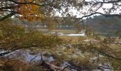 Trail Walking Pluneret - PR_56_Pluneret_AA_01_Les-Deux-Rivieres_Circuit4a_20191124 - Photo 2