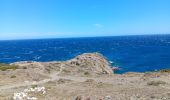 Tocht Stappen Port-Vendres - les Paulilles - Cap Bear via le sentier du littoral  / retour via collines et vignes  - Photo 10