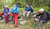 Tocht Stappen Autrans-Méaudre en Vercors - autrans - Photo 10