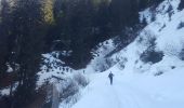 Tocht Sneeuwschoenen Hauteluce - Col des Saisies - Croix de la Coste - Signal de Bisanne - Photo 9