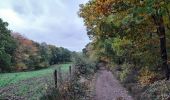 Trail Walking Aywaille - autour du Monde Sauvage  -  goulag pour animaux  - Photo 2