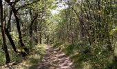 Trail Walking Saint-Chamassy - St Chamassy 19,5km - Photo 2