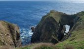 Trail Walking Audierne - Audierne , Pointe du Raz - Photo 8