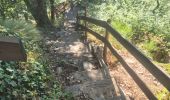 Randonnée Marche Lapleau - viaduc rochers noir + passerelle  - Photo 3