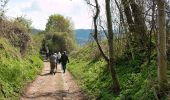 Tour Zu Fuß Hirschberg an der Bergstraße - Rundwanderweg Kehrrang 5 - Photo 10