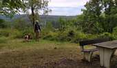Trail Walking Herbeumont - L'Antrogne - Photo 4