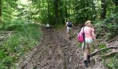 Tour Zu Fuß Wellin - activity_1250776146 - Photo 4