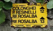 Percorso A piedi Mandello del Lario - Sentiero 13b: Rongio - Rifugio Rosalba per lo Zucco Pertusio - Photo 3