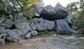 Trail Walking Fontainebleau - Sentier Denecourt 7 - Photo 10