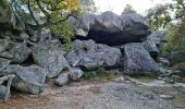 Percorso Marcia Fontainebleau - Sentier Denecourt 7 - Photo 10