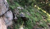 Tocht Stappen Amélie-les-Bains-Palalda - Montalba roc St Sauveur  - Photo 19