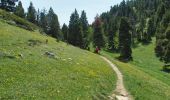 Trail Walking Romeyer - PAS DE PISON COL DES BACHASSON - Photo 2