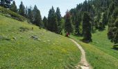 Randonnée Marche Romeyer - PAS DE PISON COL DES BACHASSON - Photo 2