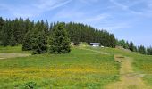 Tour Wandern Crêts-en-Belledonne - LE GRAND ROCHER PAR LE REFUGE DU CRET DU POULET - Photo 2