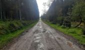 Tocht Stappen Spa - petit tour entre les fagnes Malchamps et James - Photo 9